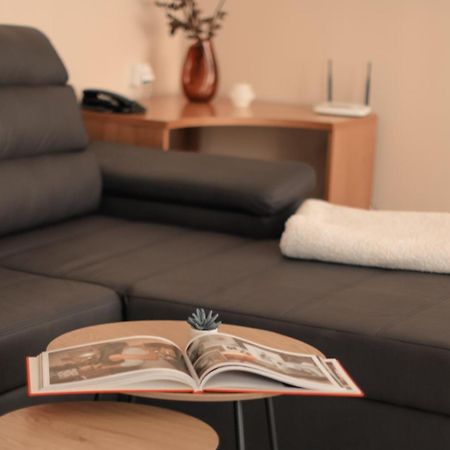 Riverside Apartments Thalia Karlsbad Rum bild